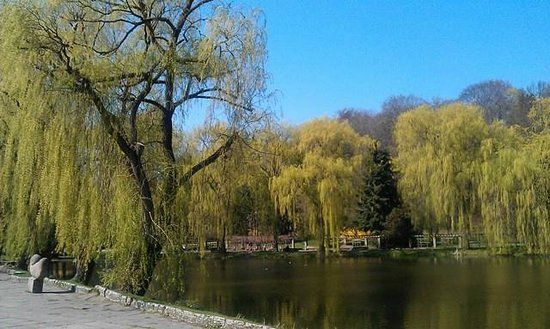Brzeg Morza Bałtyckiego